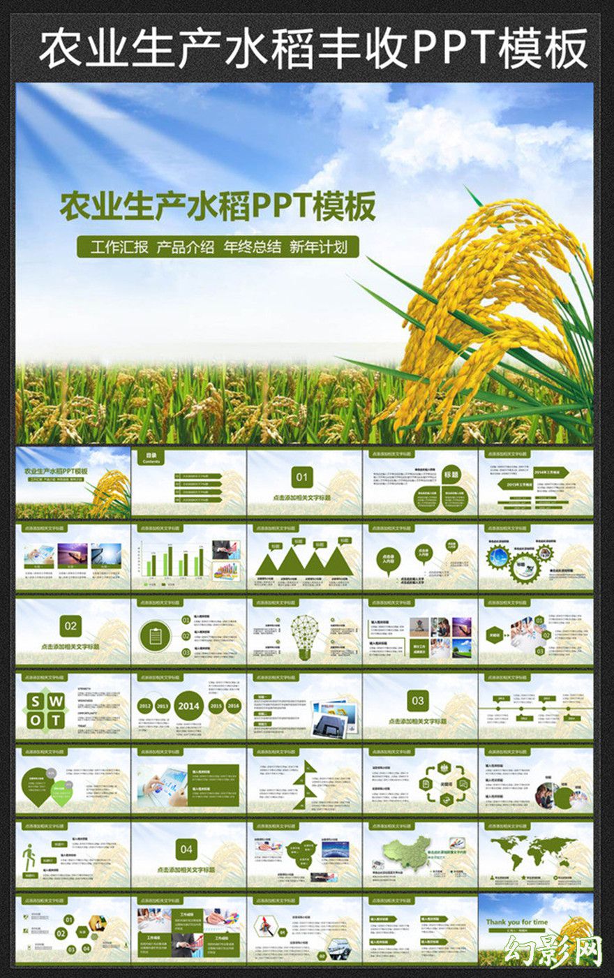 2016农业生产稻花香水稻丰收PPT模板