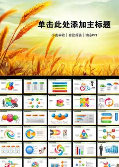 農業稻谷豐收喜悅PPT模板