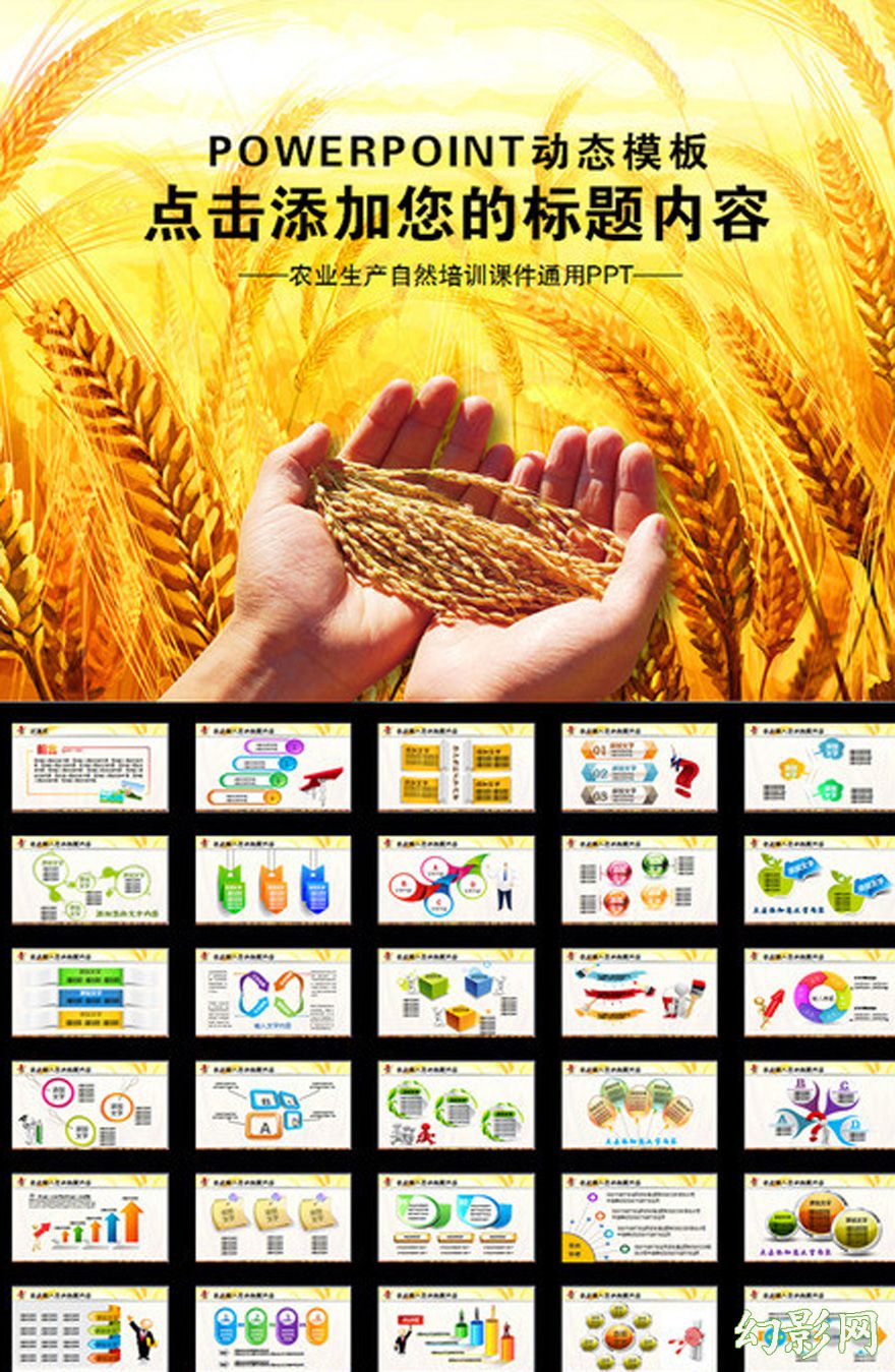农业丰收稻谷收获通用农副产品PPT模板