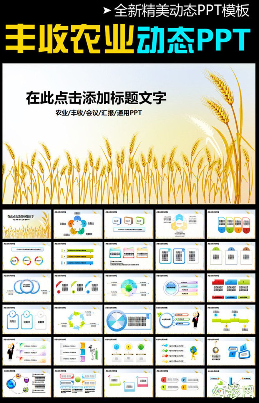 农业水稻种子耕种丰收秋天粮食PPT模板