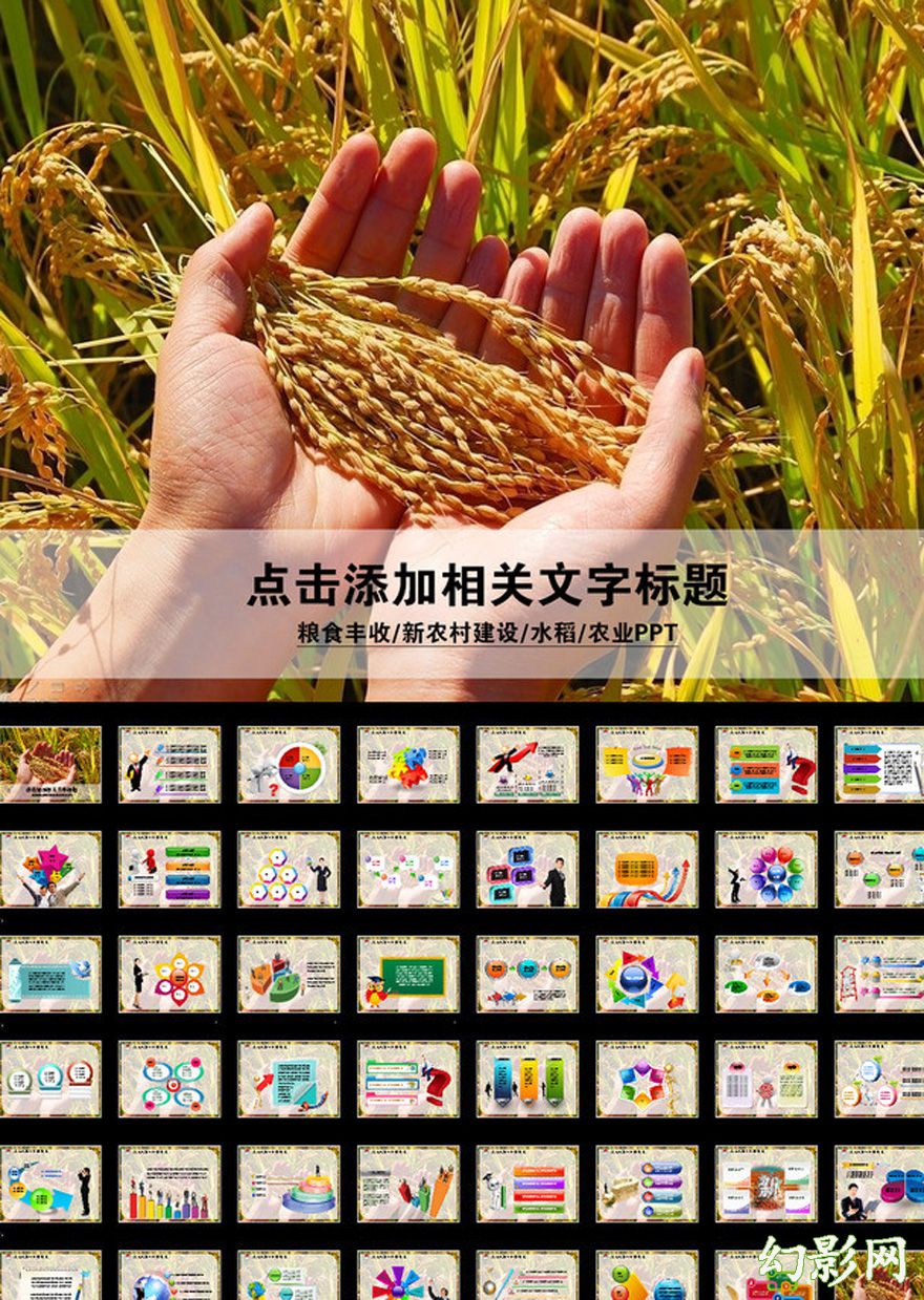 粮食稻谷丰收农业生产PPT模板