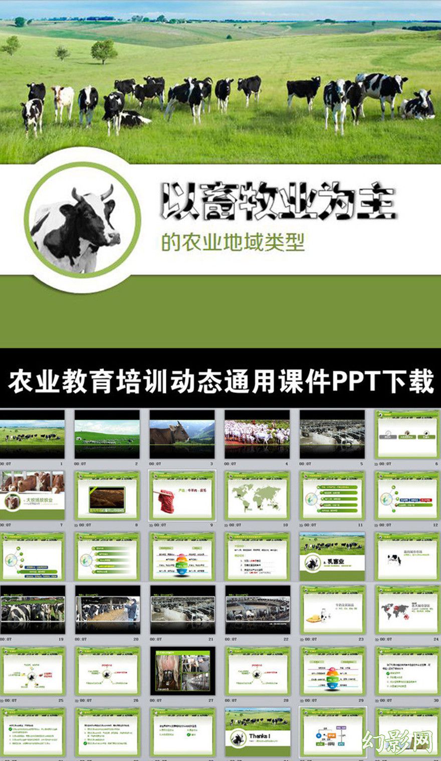 畜牧业养殖场教育课件ppt模板