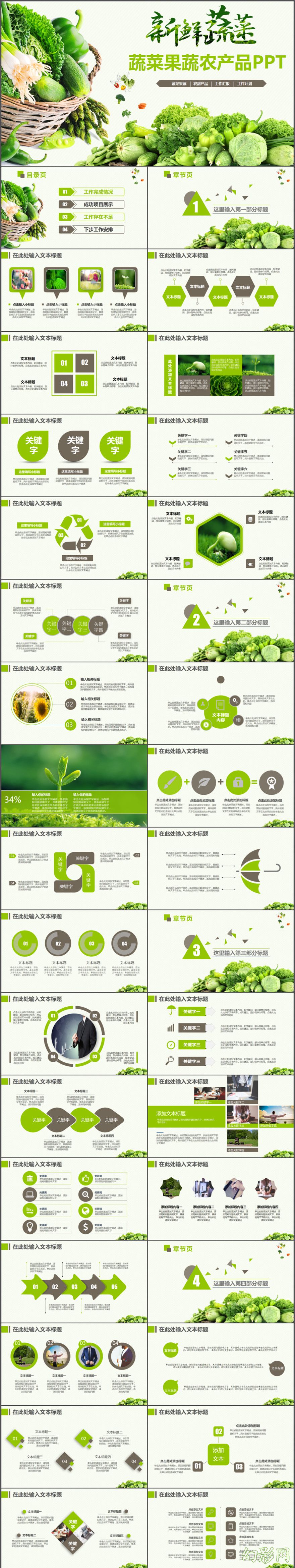 绿色新鲜蔬菜食品农产品推广宣传推介汇报PPT模板