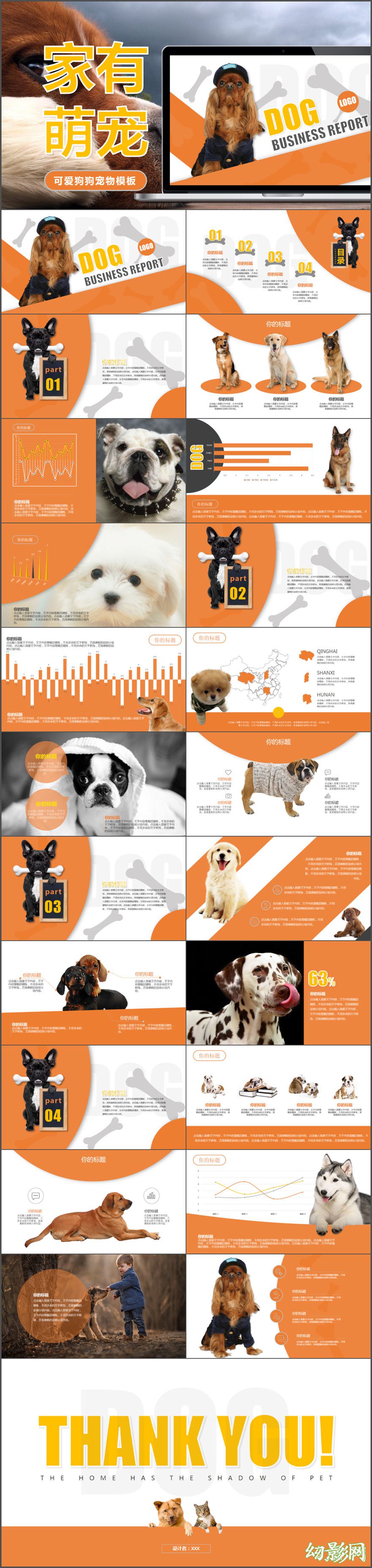 宠物狗饲养品种介绍动态PPT模板