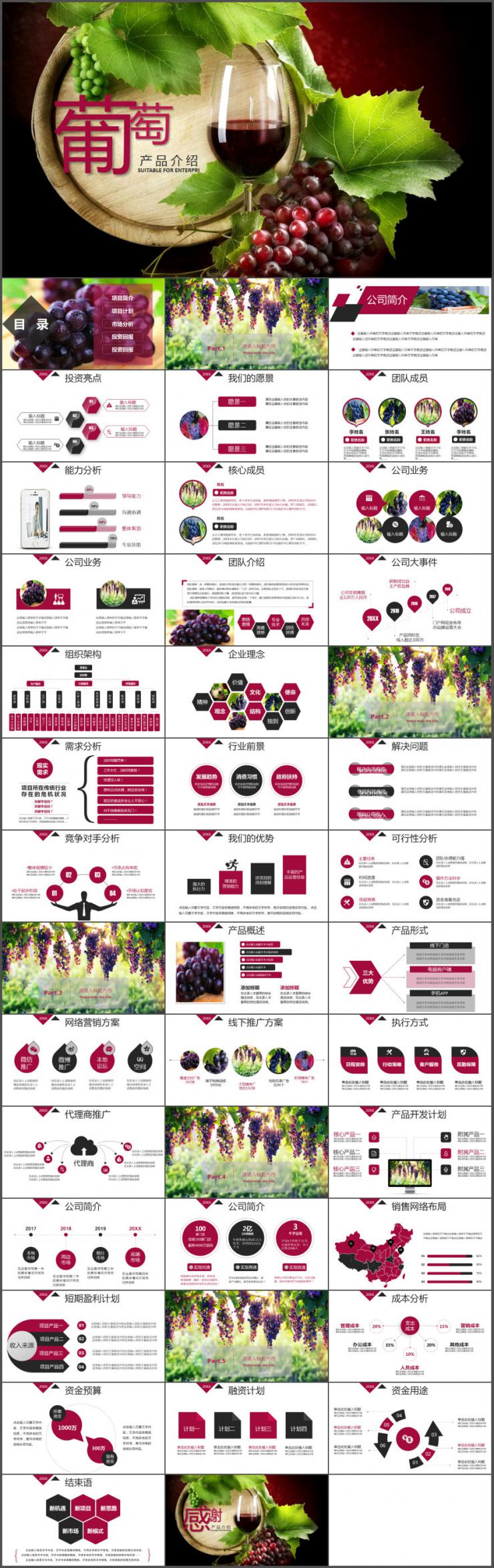 葡萄创业项目市场分析投资回报产品介绍ppt模板