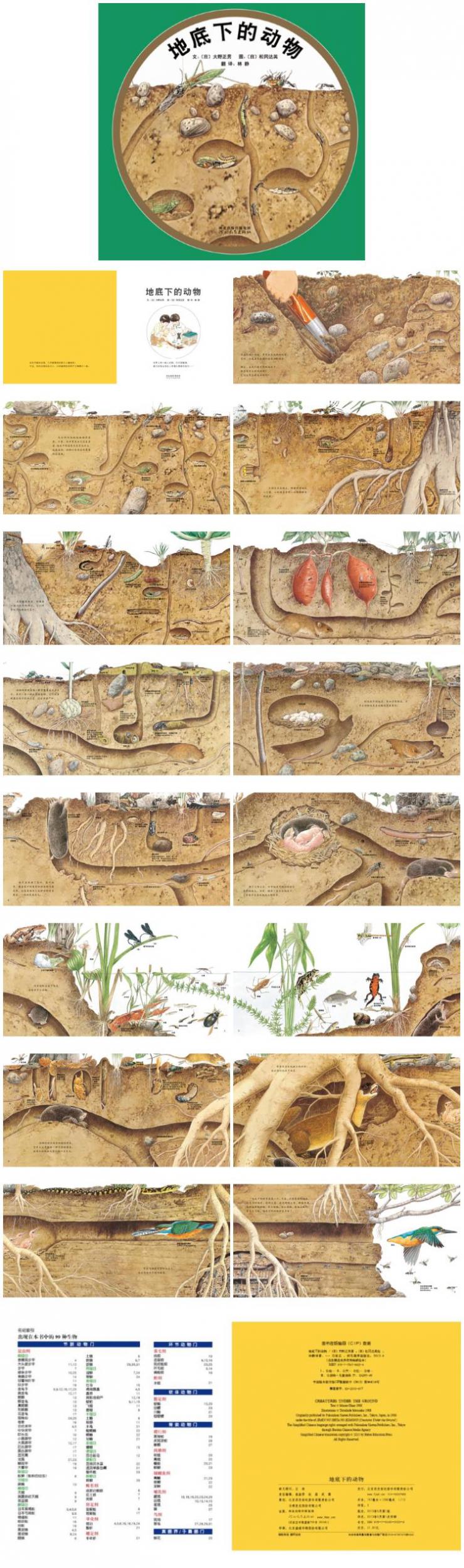 地底下的动物童话绘本儿童故事ppt